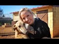 Fundacion Benjamin Mehnert refugio de galgos PART 1 (subtítulos ingles y polaco)