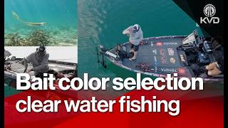 Kevin VanDam Reveals the BEST Dream Shot Colors for Summer Bass