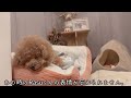 誰もいない寂しいリビング。