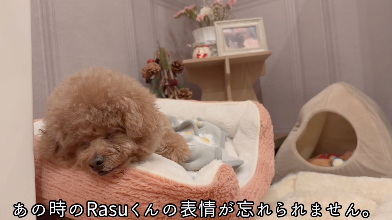 誰もいない寂しいリビング。