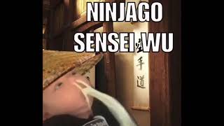 yes, sensei wu #meme #shorts #ninjago