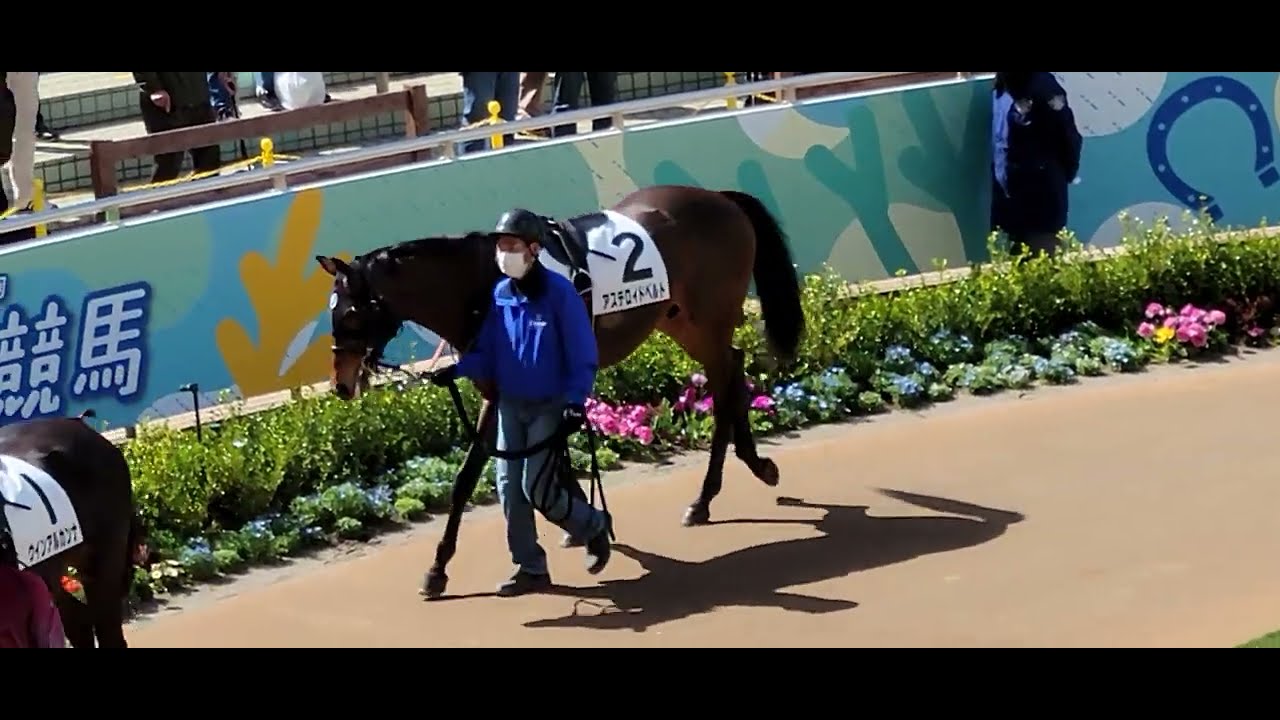 22 03 中山第8r アステロイドベルト Youtube