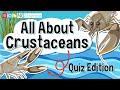 All about crustaceans  quiz edition