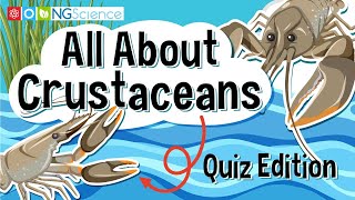 All About Crustaceans – Quiz Edition