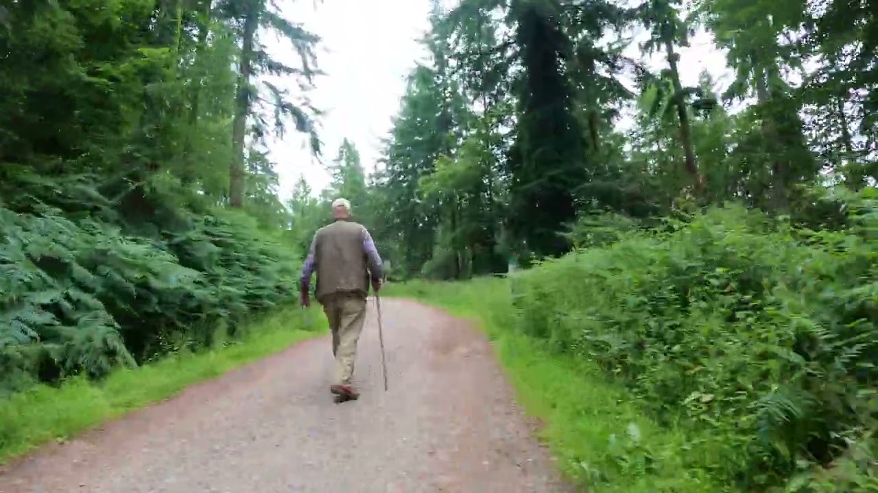 Haldon Forest Trails