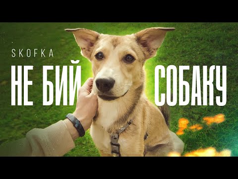 Видео: SKOFKA - НЕ БИЙ СОБАКУ!