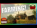 BECOMING A FARMER! | Red Dead Redemption 2 Roleplay (GoldRush RP)