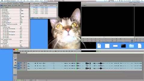 How to See Waveforms in Media Composer