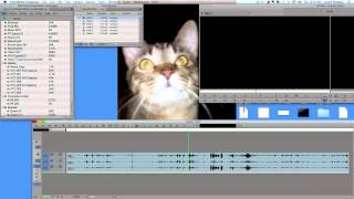 How to See Waveforms in Media Composer