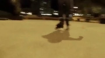 Fridayroll skating - endless frame test and more