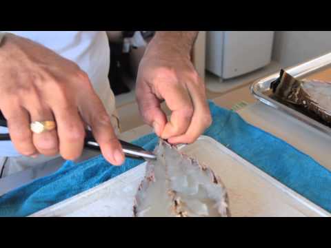 Как правильно приготовить лобстер (лангуст) омар