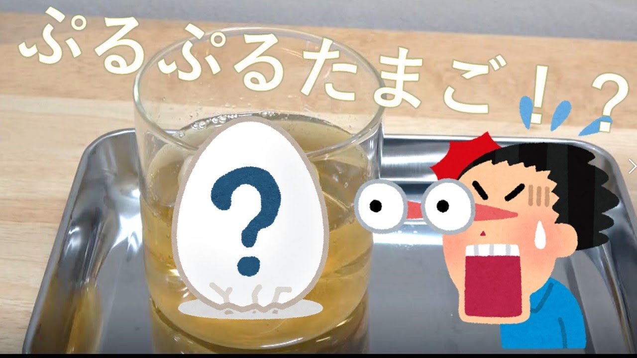 ぷるぷるたまごと殻のひみつ！