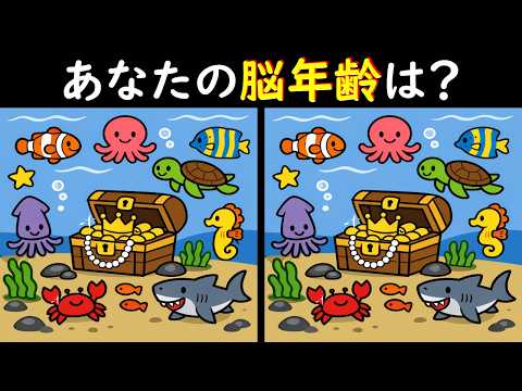 What's Your Brain Age?] Can You Spot the 3 Differences in the