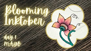 Information Blooming Tangles 2026 - Day 1 - Mago Guide