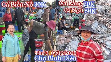 Chợ Bình Điền Sáng Thứ 3 - Cá Chim 30K, Cá Ngát 50K, Cá Lăng 70K, Tôm Càng 160K | 09/12/2025 