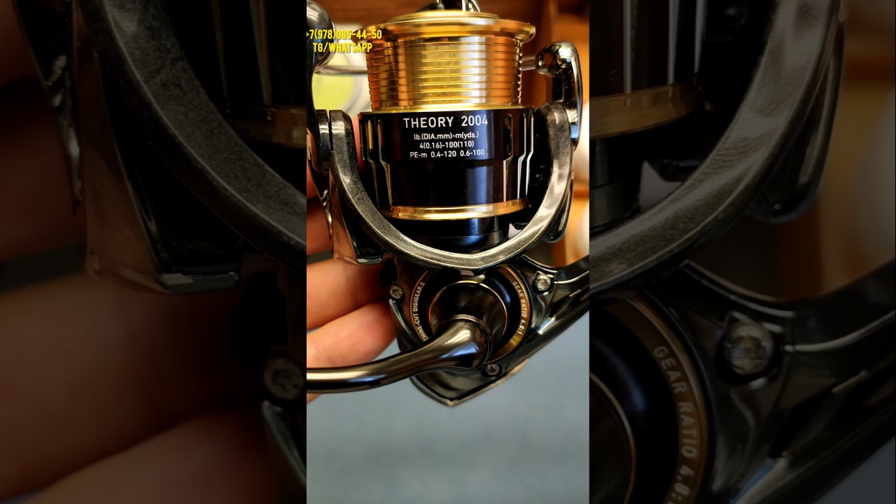 Daiwa 17 Theory 2004 #daiwa #fishing #fishing #shimano #twinpower