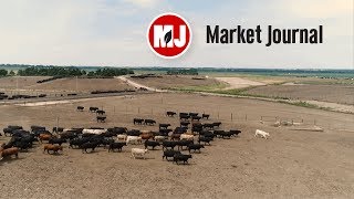 Market Journal - June 9, 2017 (full episode)