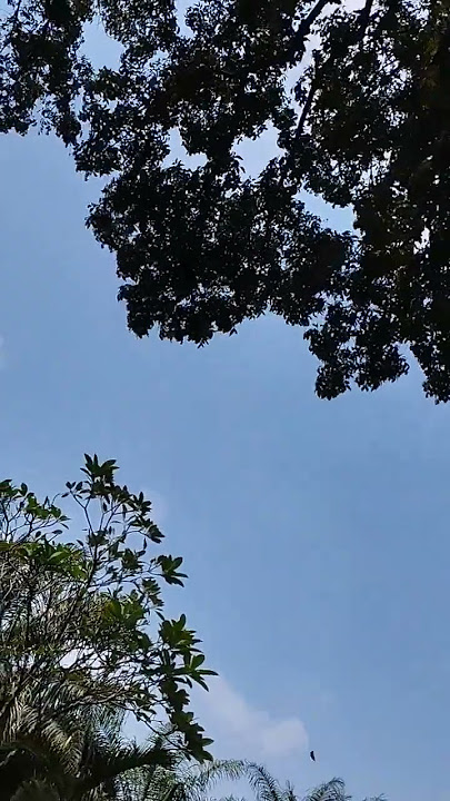 Langit Siang Hari #Langit #Shorts