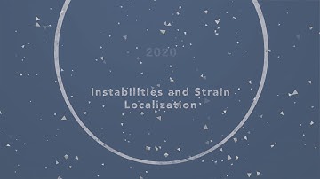 Biot-Bazant Conference Track 1: Instabilities and Strain Localization