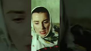 Sahipsiz Bulunca, Muhtar Oturdu Tarlanın Üzerine - Sis