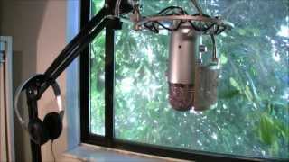 RODE PSA1 Swivel Mount Studio Microphone Boom Arm Review RODE PSA1 Swivel Mount Studio Microphone Boom Arm Review