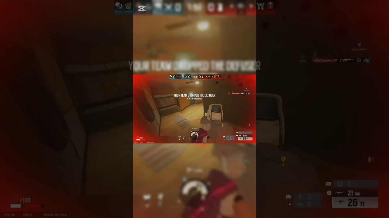 The gray gun bug is aura😈 