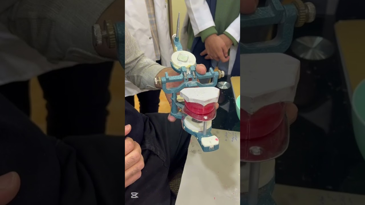 استاذ امير الكردي...كلية الحلة الجامعة..ماونتك ابر ولور