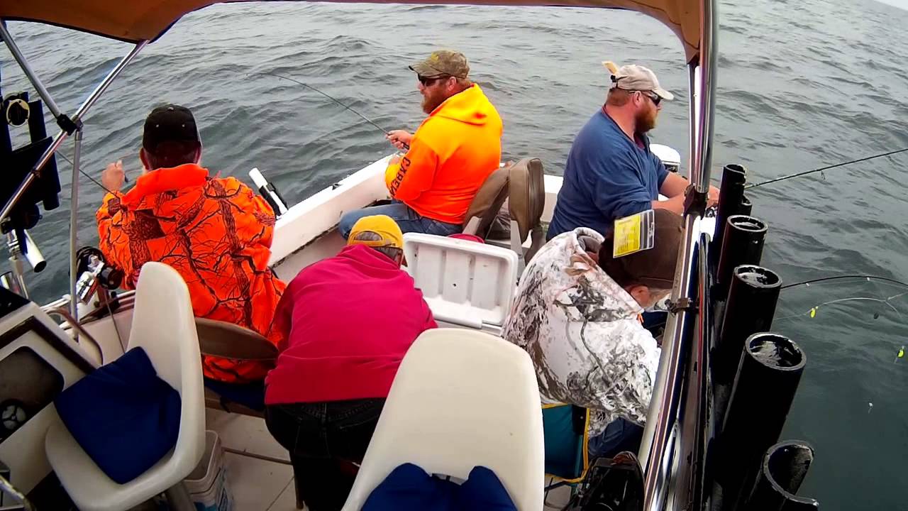 A&A Fishing Charters: Perch and Walleye fishing!