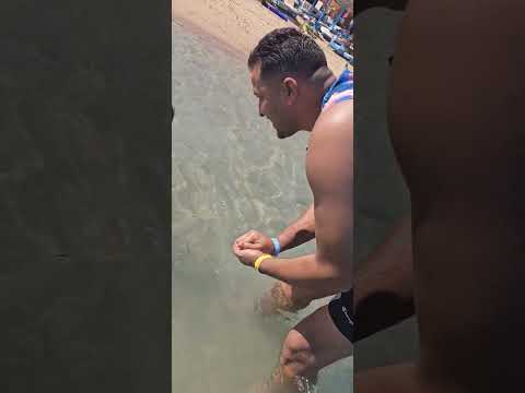 جبت لكوكى اكبر قوقعه  كامري محركات