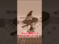 魔理沙…絶対忘れないから #shorts #マインクラフト #ゆっくり実況
