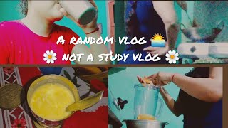A Random Vlog Not A Study Vlog Cooking Outing Organising An Aspirant