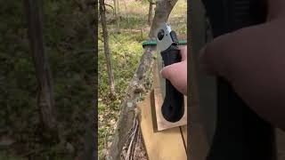 Snabb liten uppdatering #koja #skog #wood #shorts