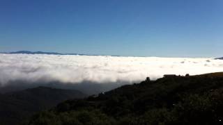 Cloud Sea