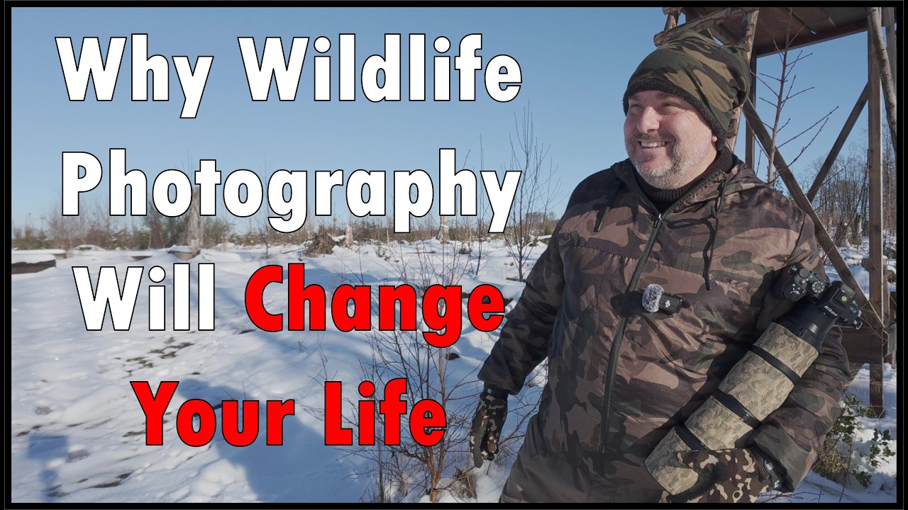 Wildlife Photography Changed My Life: The Secret You Need to Know ...