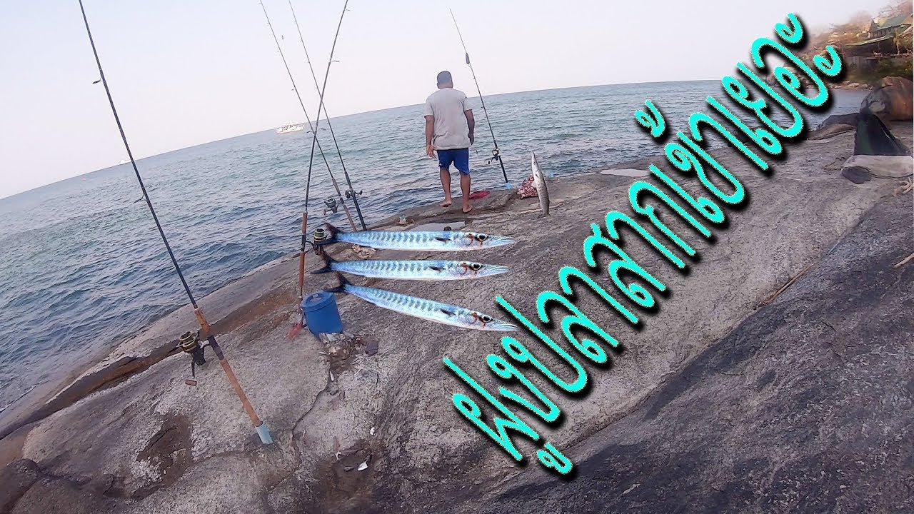 #แสนคนตกปลา  #ตกปลาสาก  ตกปลาสาก   ตกปลาหน้าดิน  Saen Fishing