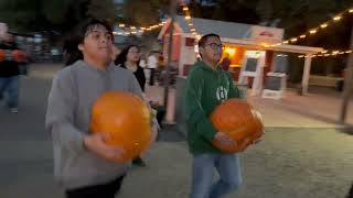 Dave's Pumpkin Patch Review