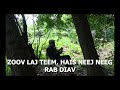 RAB DIAV
