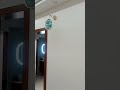 hall wach dizain.haal furniture.hall interior dizain #interior #shors #shortvideo #woodenfinishl