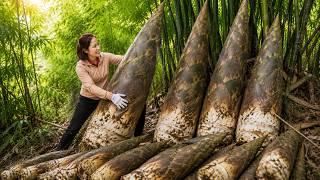 Harvesting 1000+ Kg Giant Bamboo Shoots in the Forest To Sell At Market | Mai Hương - Free Bushcraft