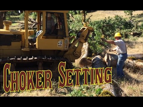 Logging with D6C