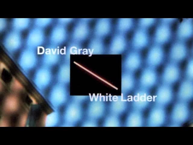 David Gray - Please Forgive Me (Official Audio)