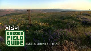 The Columbia Gorge And The Dalles