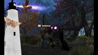 Finding the Wise Mothman (Fallout 76)