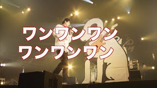 名犬ニッパー・ドッグンロール