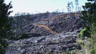 Deforestation in The Otways..