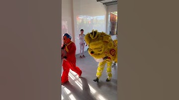 Rước Lân Vào Nhà Vui Quá #shorts #chiuc #chiuctv