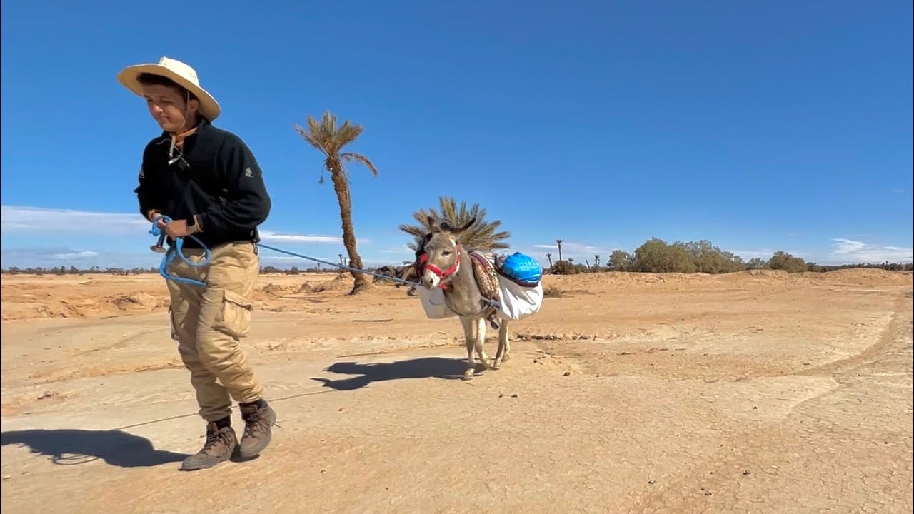 #VLOG71 | بعد يوم من المشي لم أجد مكان آمن للتخييم ⛺️فوضعت خيمتي جانب مقبرة 🤯سيجلماسة أنا و حماري🐴