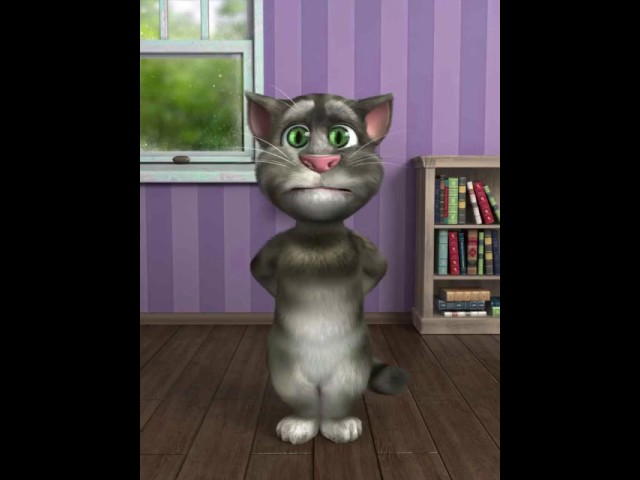 Talking tom 2 28 Bit*hes at my door class=