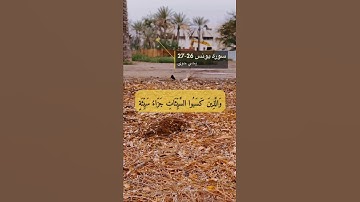 سورة يونس الآية 26-27