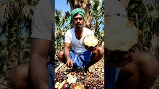 என்னவா இருக்கும்...?#trendingshorts #farming #tranding #ai #aishorts #trend #tree